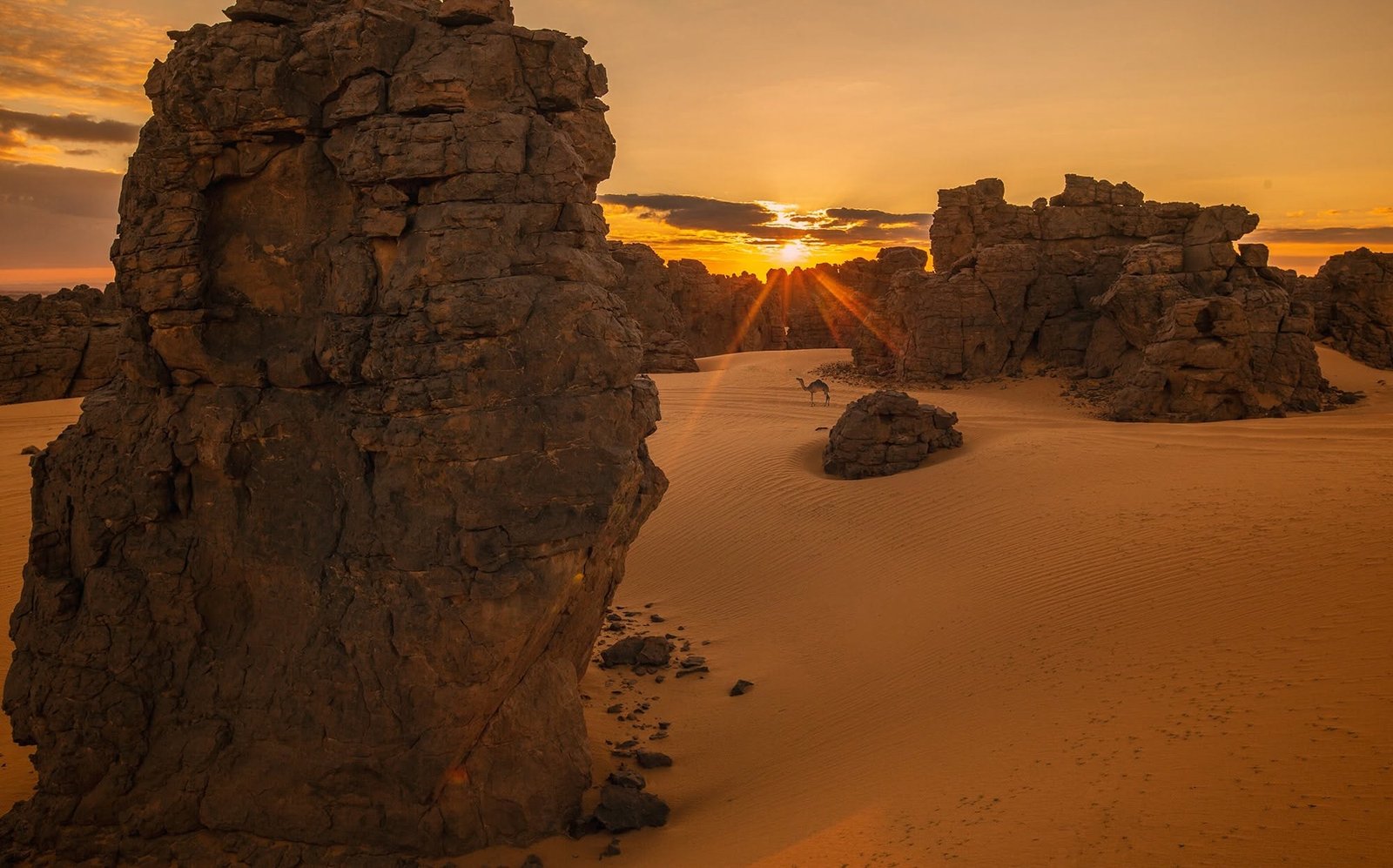 Outdoor landscape during a journey in Libya