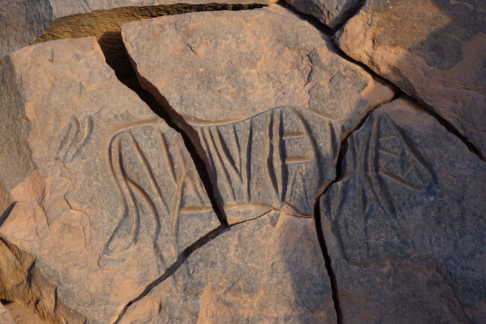 Ancient animal rock engraving in Tadrart Acacus Libya