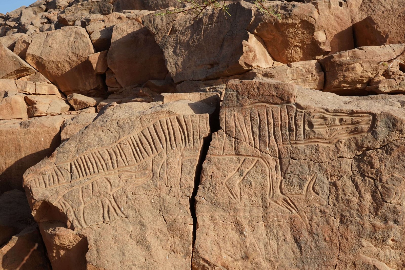 Prehistoric rock art detail in Tadrart Acacus Libya