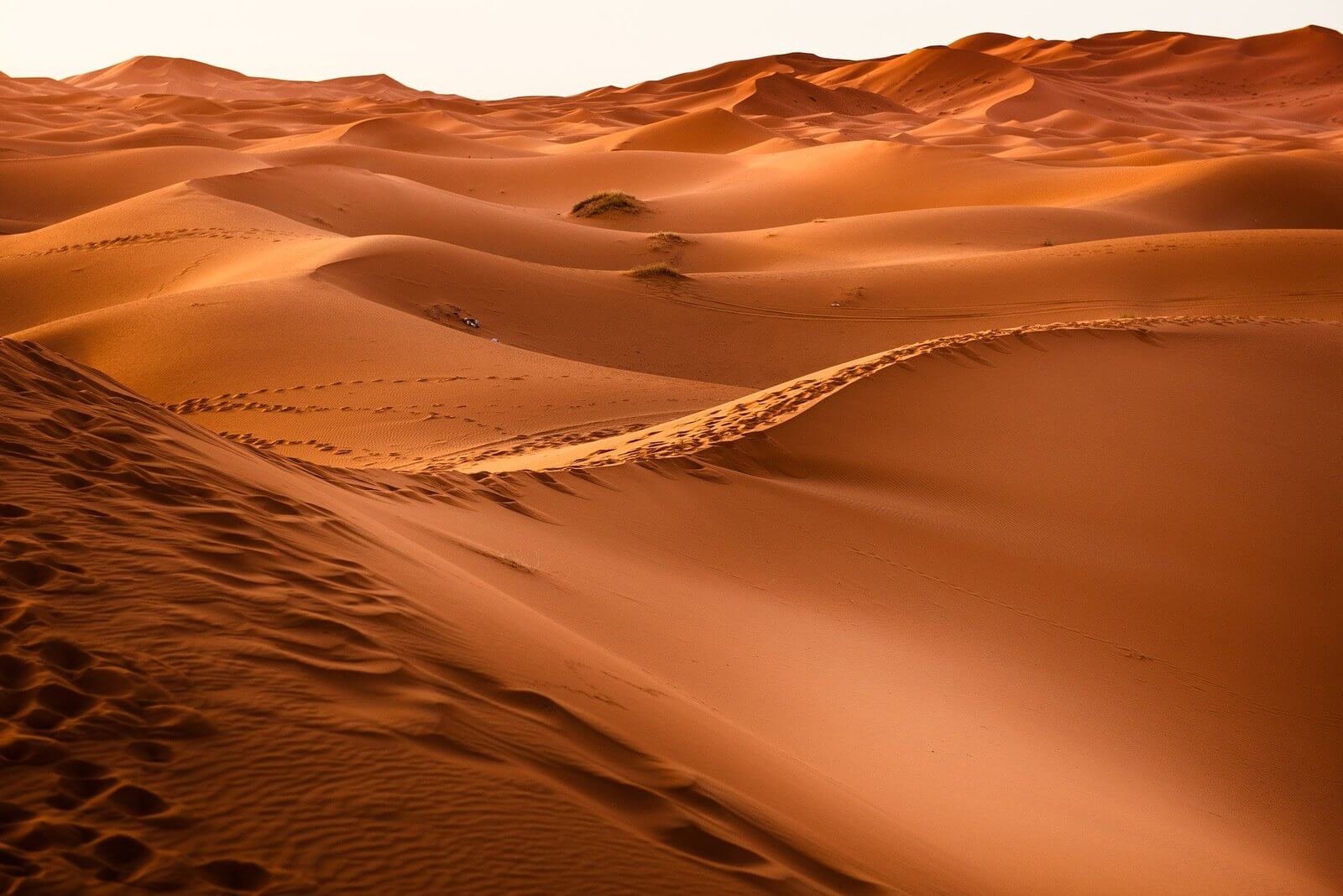 Golden sand dunes with footprints along the ridges